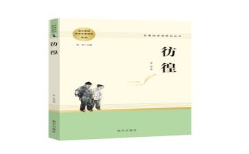 读彷徨读后感模板5篇