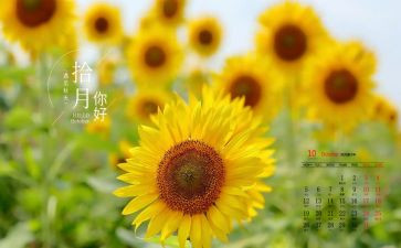 1一10月销售工作总结7篇