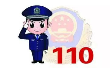 110宣传活动的总结最新6篇