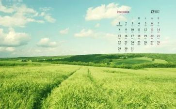 12月总结及工作计划8篇