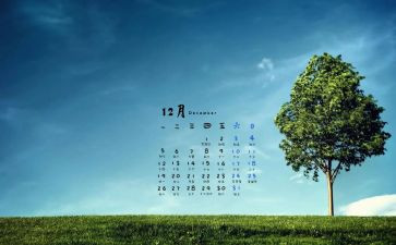 12月份月工作总结6篇