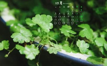 12月份的工作总结与计划5篇