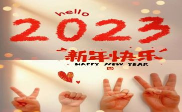 2023年保安队长年终总结8篇