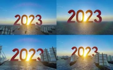 2023党组织工作总结6篇