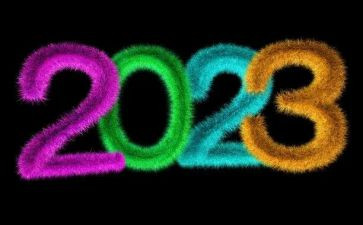 2023年保安队长年终总结推荐8篇
