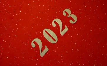 畅想2023年大学生作文5篇