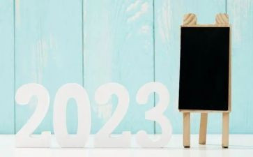 2023年副支书述职报告6篇