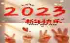 2023年小学数学课程标准心得体会8篇