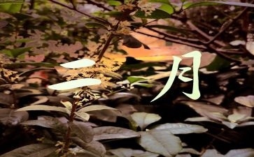 2024年2月个人总结最新8篇