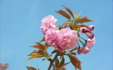 学校安全2月工作总结5篇