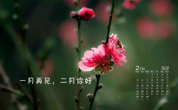 2月的工作总结7篇