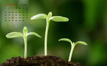 2月的工作总结模板5篇