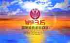 315销售活动总结6篇