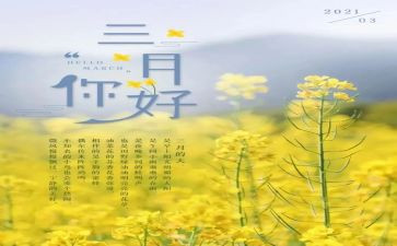 3月12日活动方案5篇