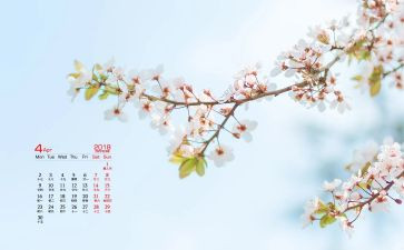 4月部门工作总结6篇