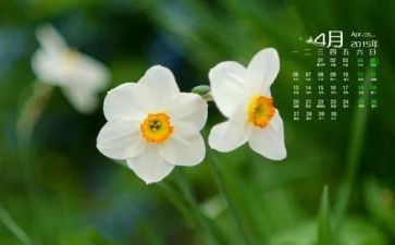 2024年4月活动方案5篇