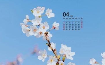 4月教学反思7篇