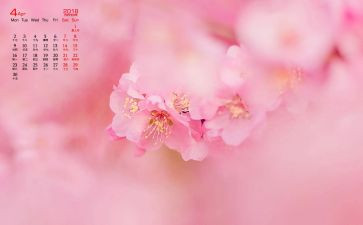 2024幼儿园中班4月份工作总结7篇
