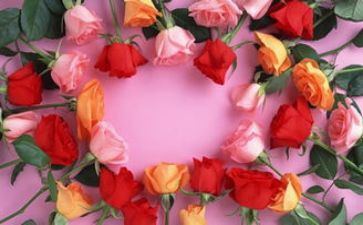 520餐厅活动方案优质5篇