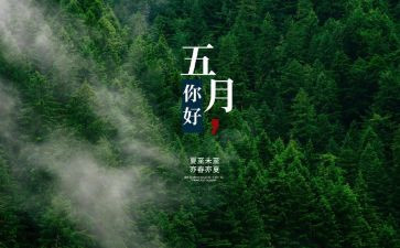 销售5月份工作计划5篇