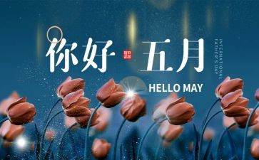 机关5月工作总结5篇