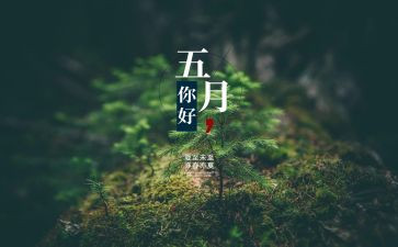 人事工作5月份工作计划8篇