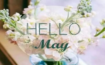 5月教师个人总结7篇