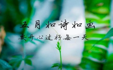 幼儿园大大班5月份工作总结7篇