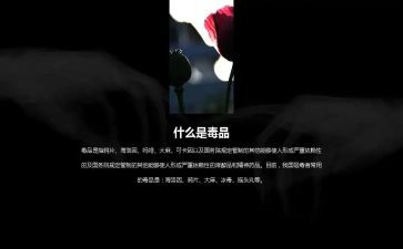 626禁毒日活动方案最新6篇