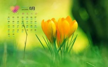 6月6日活动总结5篇