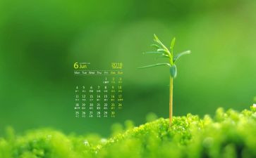 6月安全生产月工作计划8篇