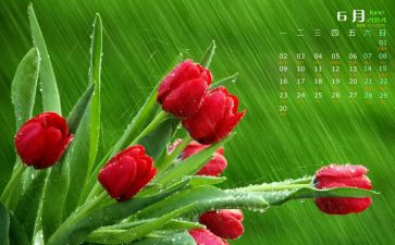小班6月份周工作总结6篇