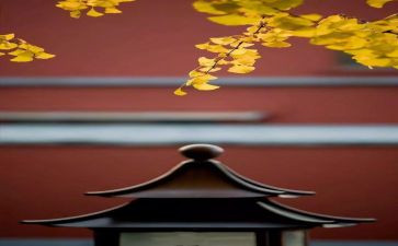 行政人事8月工作总结8篇