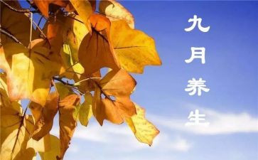 幼儿园小小班9月份工作总结参考6篇