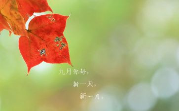 9月份幼儿园小班工作总结6篇