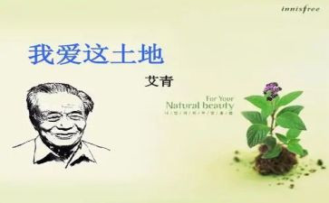 读艾青诗选的心得体会8篇