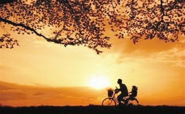 《摔跤吧,爸爸》观后感400字7篇