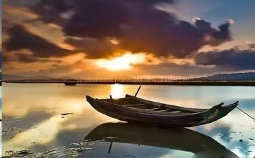 《摆渡人》读后感优质8篇