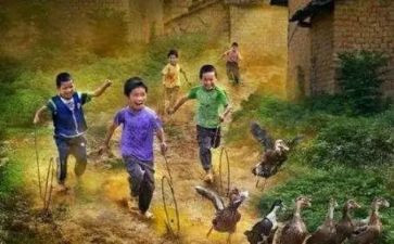 八零后辞职申请书精选6篇