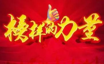 2024年榜样八心得体会精选5篇