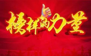学榜样做榜样6心得体会推荐5篇