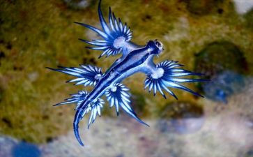 2024生物教学计划优秀6篇