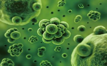 生物上学期教学计划精选5篇
