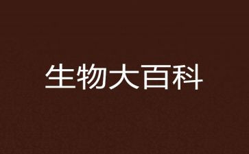 小生物教案推荐6篇