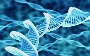 2024年生物工作总结推荐7篇