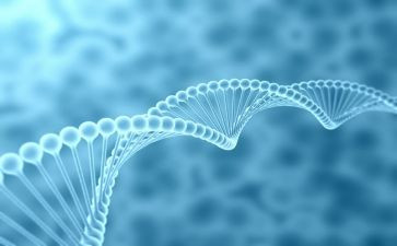 小生物教案最新6篇