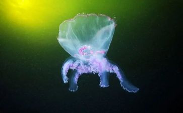 2024年生物工作总结最新7篇