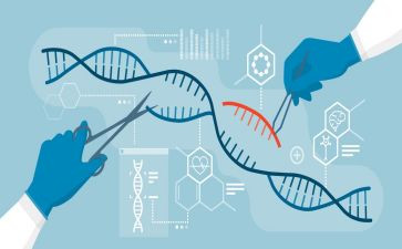 2024年生物工作总结参考6篇