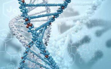 2024年生物教学计划优质8篇
