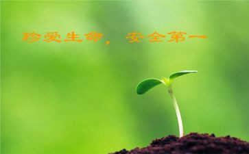 班级安全教育总结优质6篇